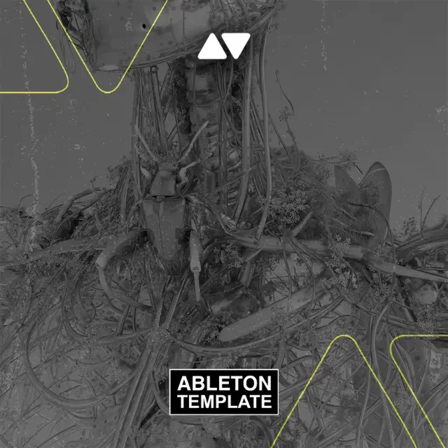 Anyma & Marigoldff - Claire Ableton Template (Melodic Techno)