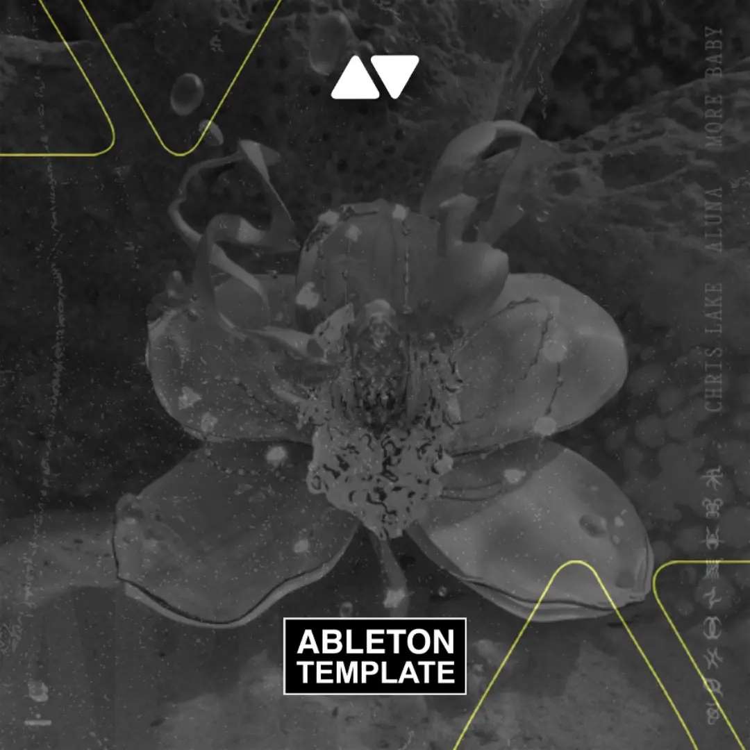 Chris Lake & Aluna - More Baby Ableton Template (Tech House)