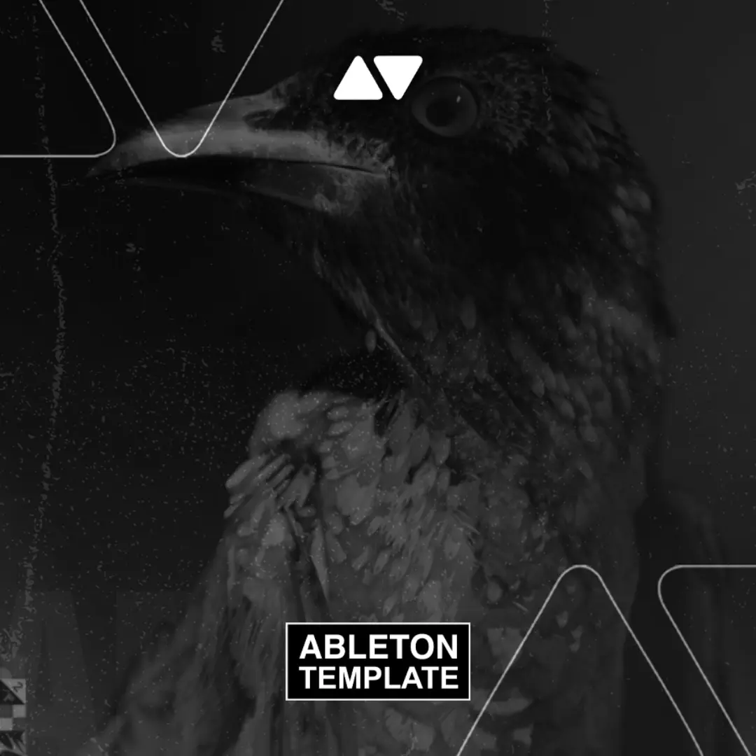 Flume Feat MAY-A - Say Nothing (Tchami Remix) Ableton Template (House)